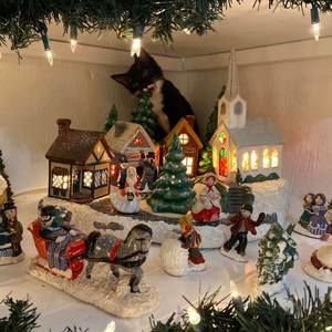 Meet your Posher, Wendy